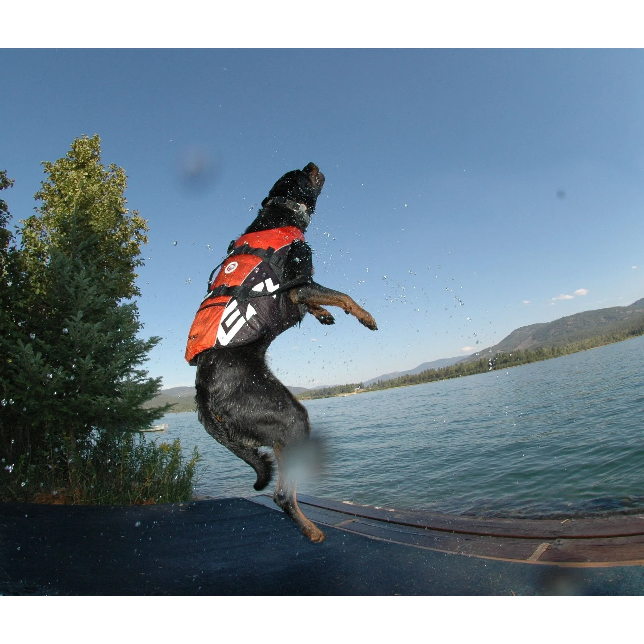 EzyDog DFD Dog Life Jacket Red Extra Large