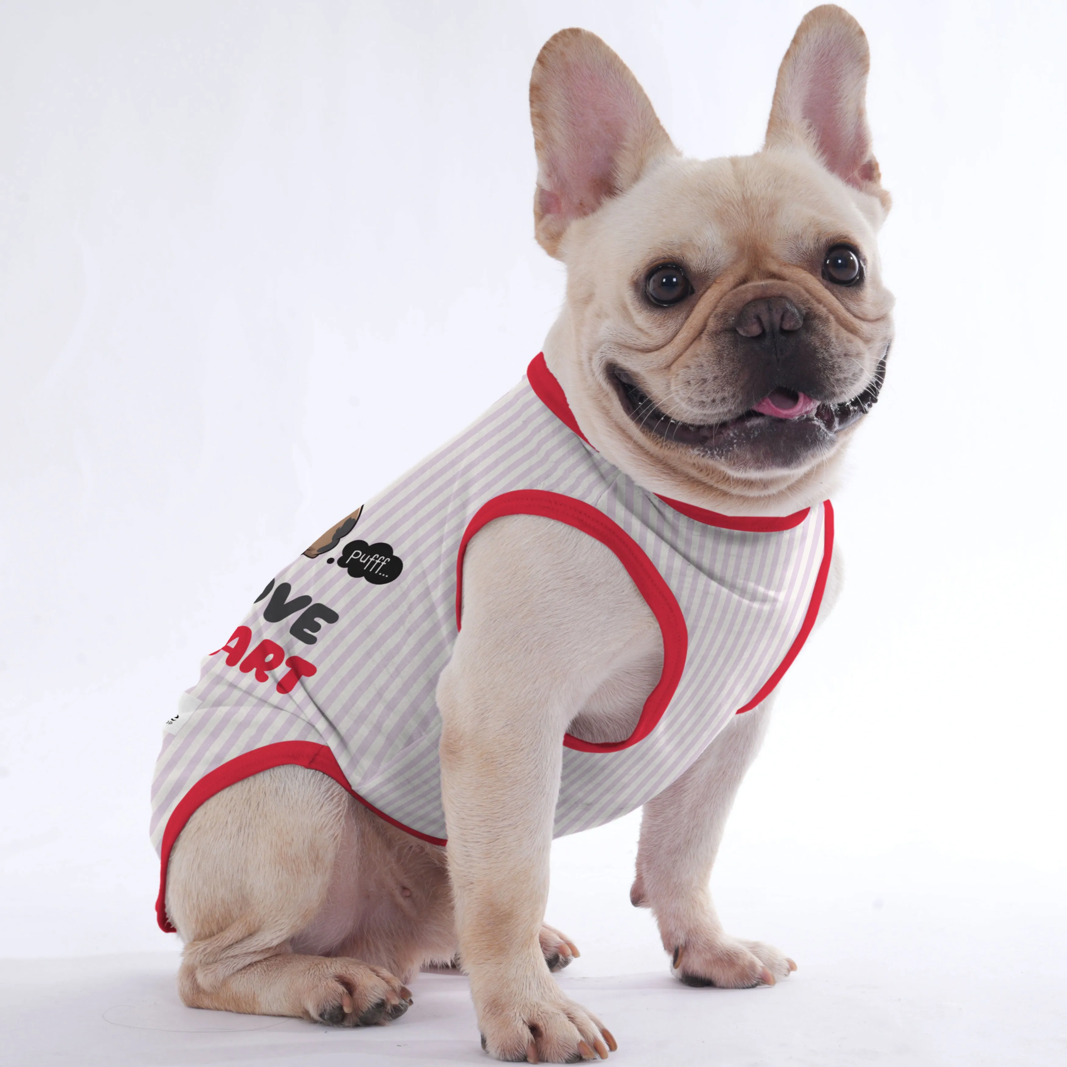 Mansel -  Shirt for Frenchies - Frenchie Shop Original