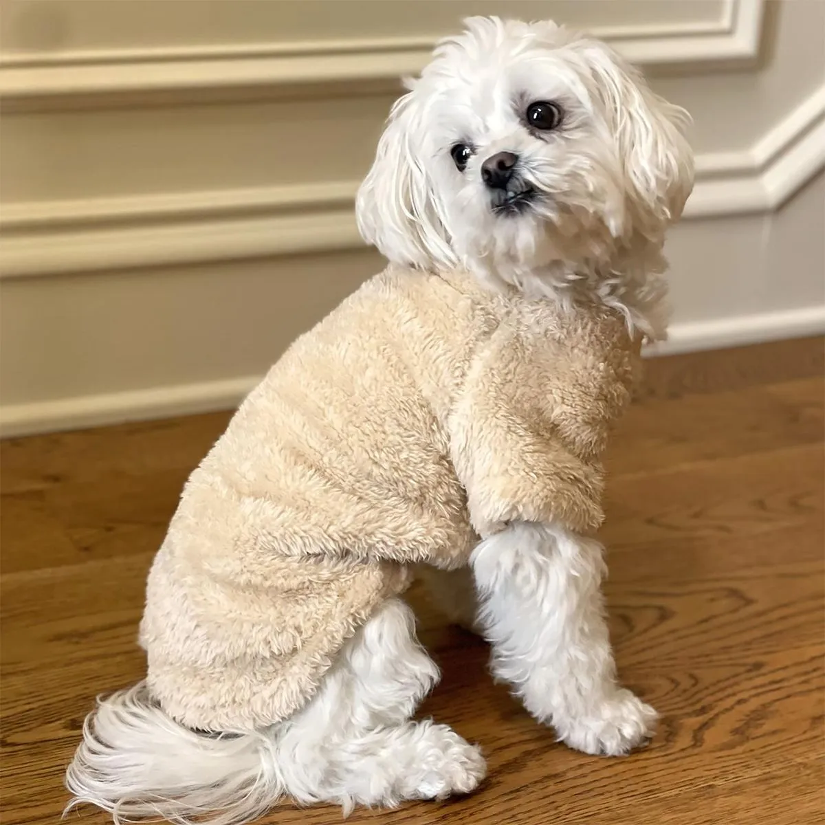 Soft Plush Pullover Dog Coat Cream
