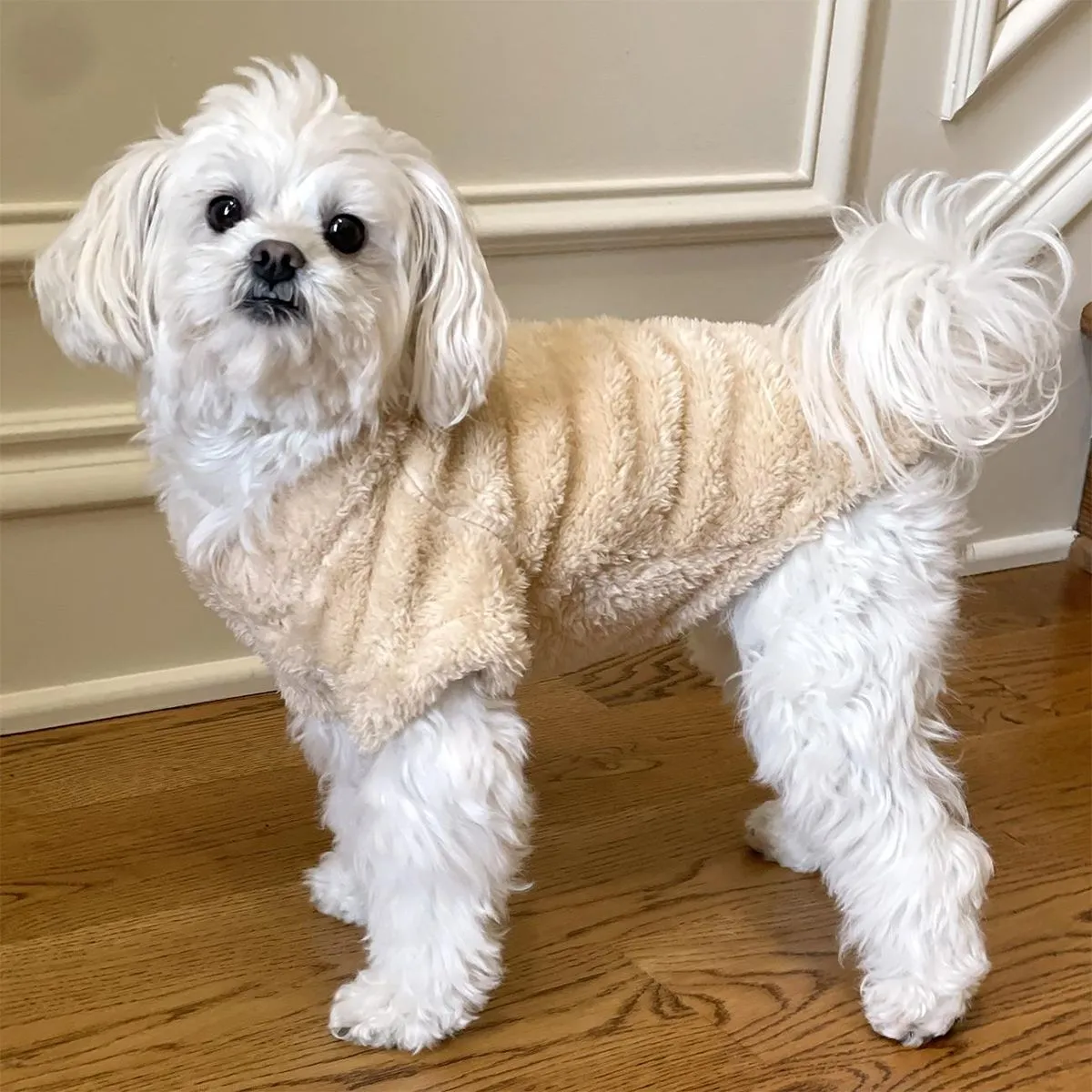 Soft Plush Pullover Dog Coat Cream