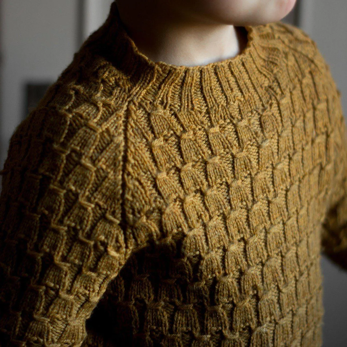 Viggo's Sweater [Trine Bertelsen]