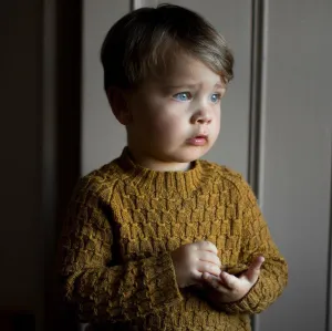 Viggo's Sweater [Trine Bertelsen]