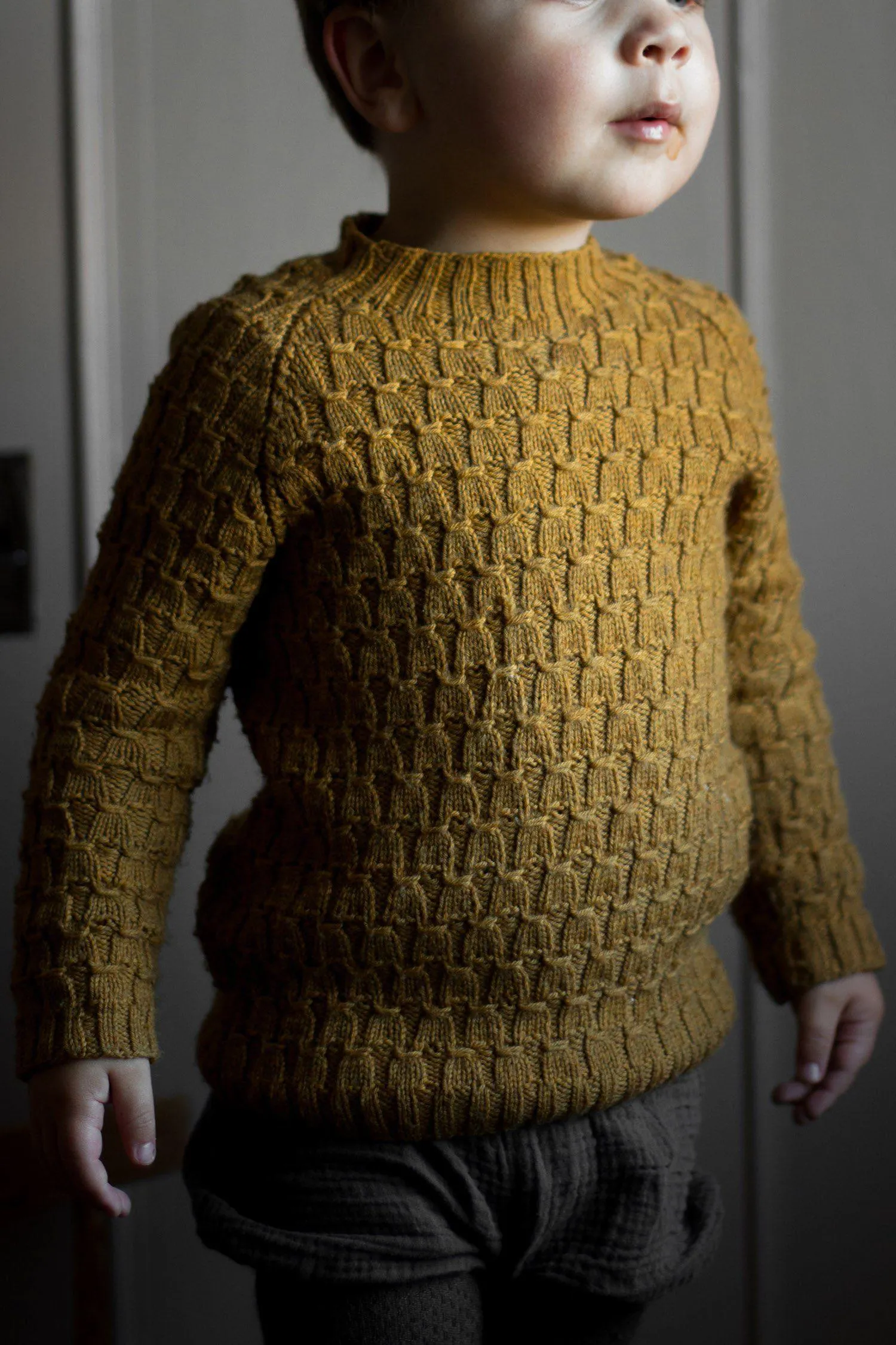 Viggo's Sweater [Trine Bertelsen]