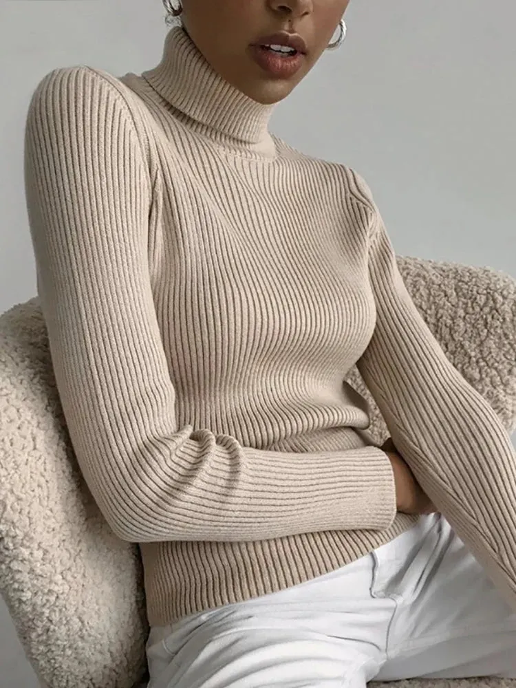 Women Fall Turtleneck Sweater Knitted Soft Pullovers , Basic Soft Sweaters For Women  Autumn Winter