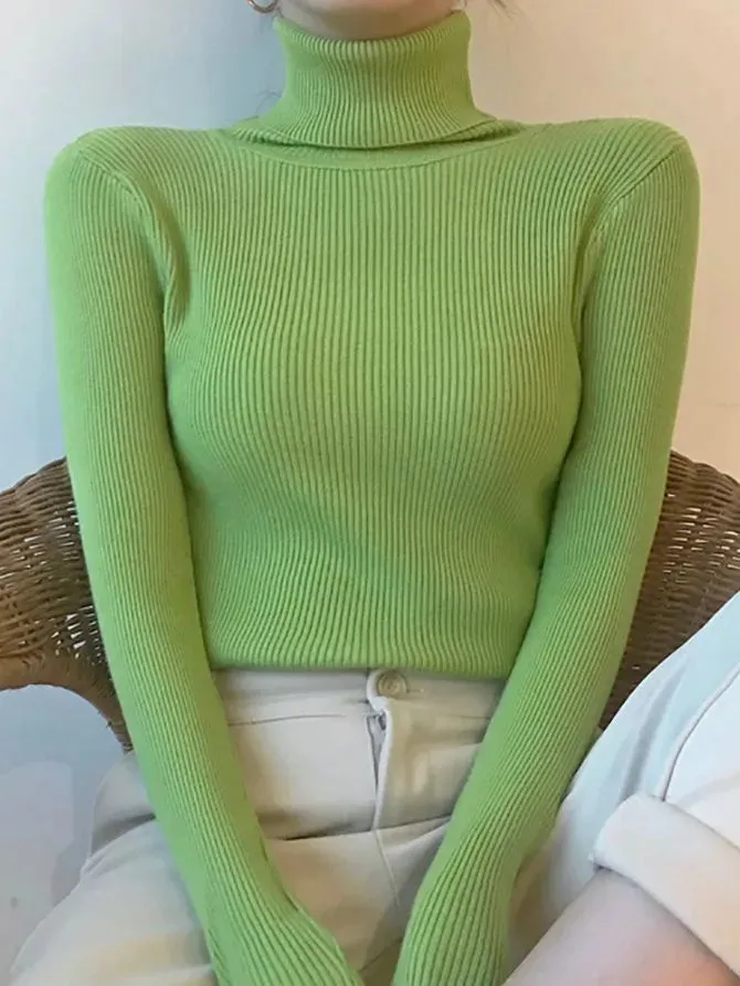 Women Fall Turtleneck Sweater Knitted Soft Pullovers , Basic Soft Sweaters For Women  Autumn Winter