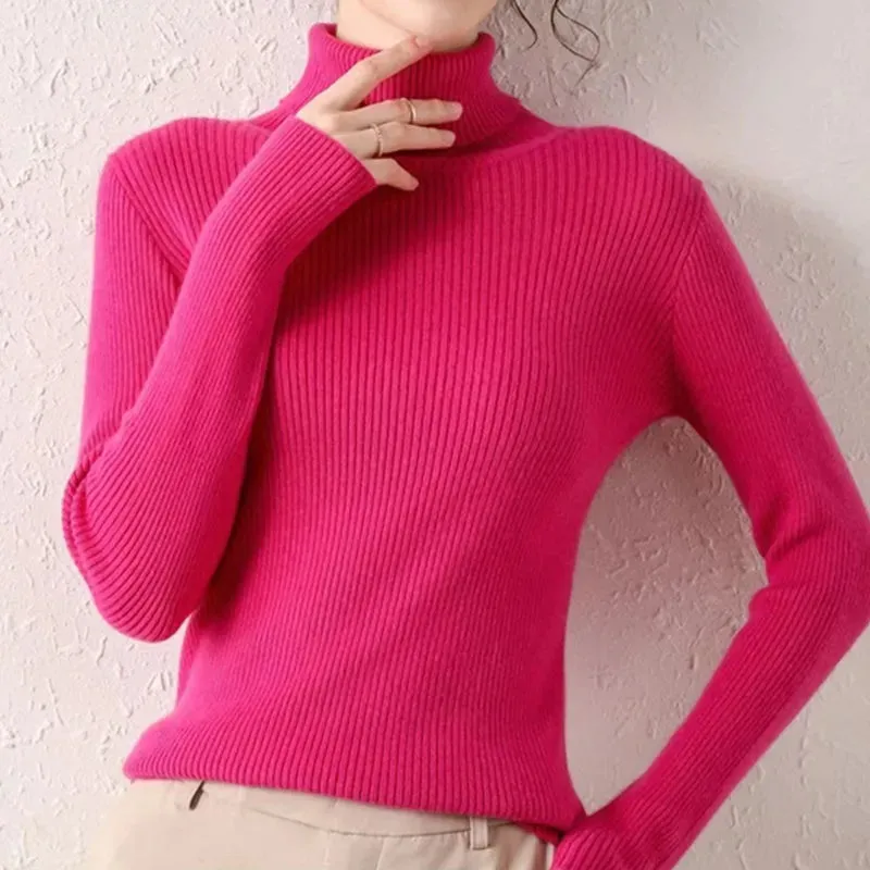 Women Fall Turtleneck Sweater Knitted Soft Pullovers , Basic Soft Sweaters For Women  Autumn Winter