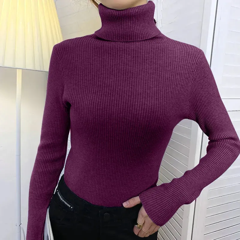 Women Fall Turtleneck Sweater Knitted Soft Pullovers , Basic Soft Sweaters For Women  Autumn Winter